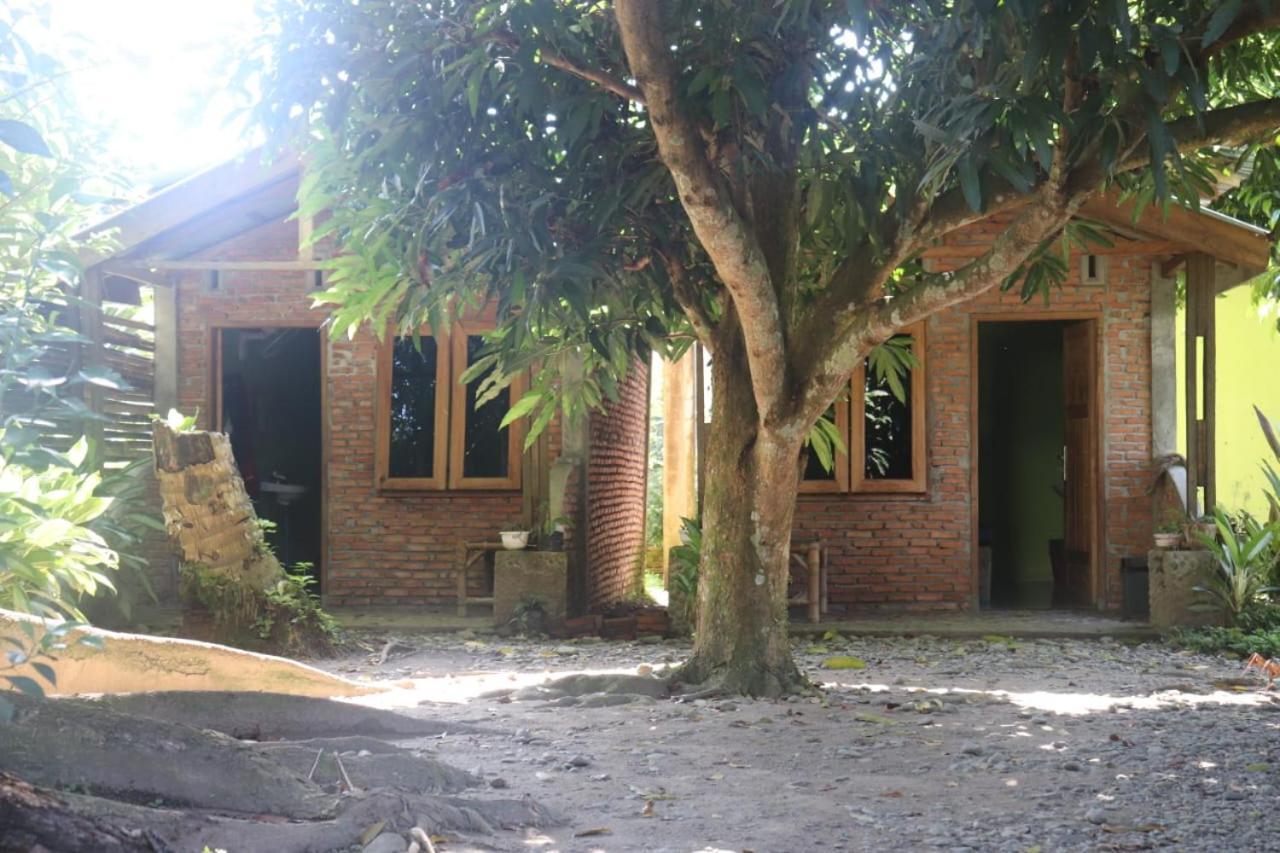 Jhony'S Backpacker-Guest House Only Stay Here Book Treking With Us Bukit Lawang Dış mekan fotoğraf