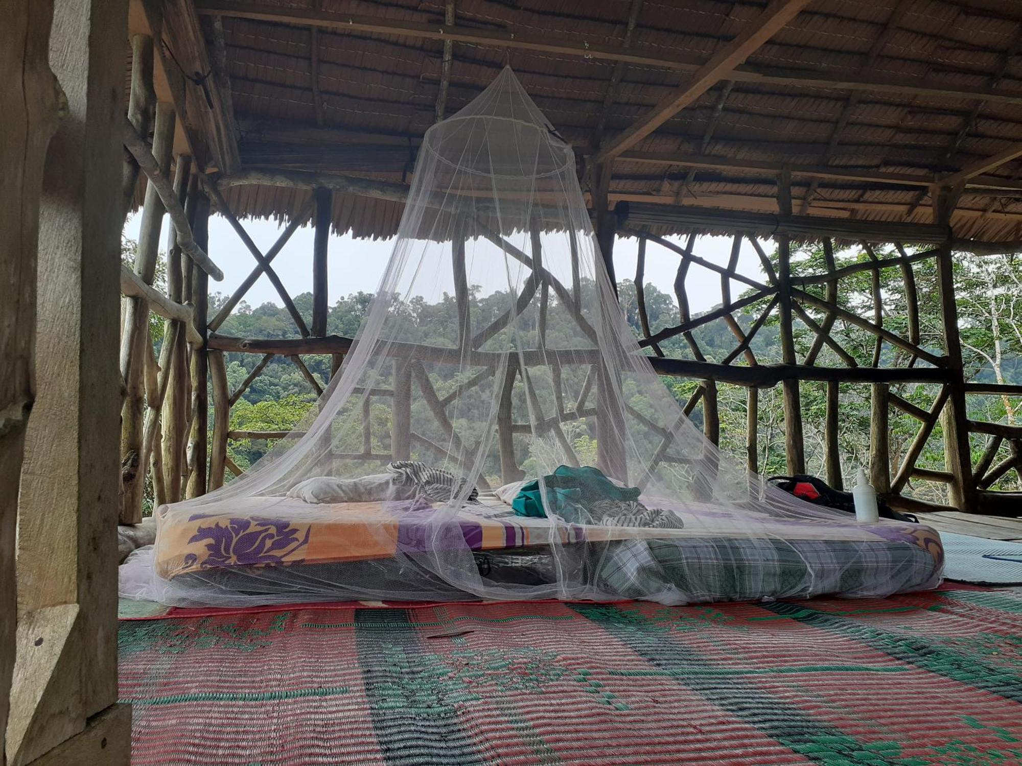 Jhony'S Backpacker-Guest House Only Stay Here Book Treking With Us Bukit Lawang Dış mekan fotoğraf