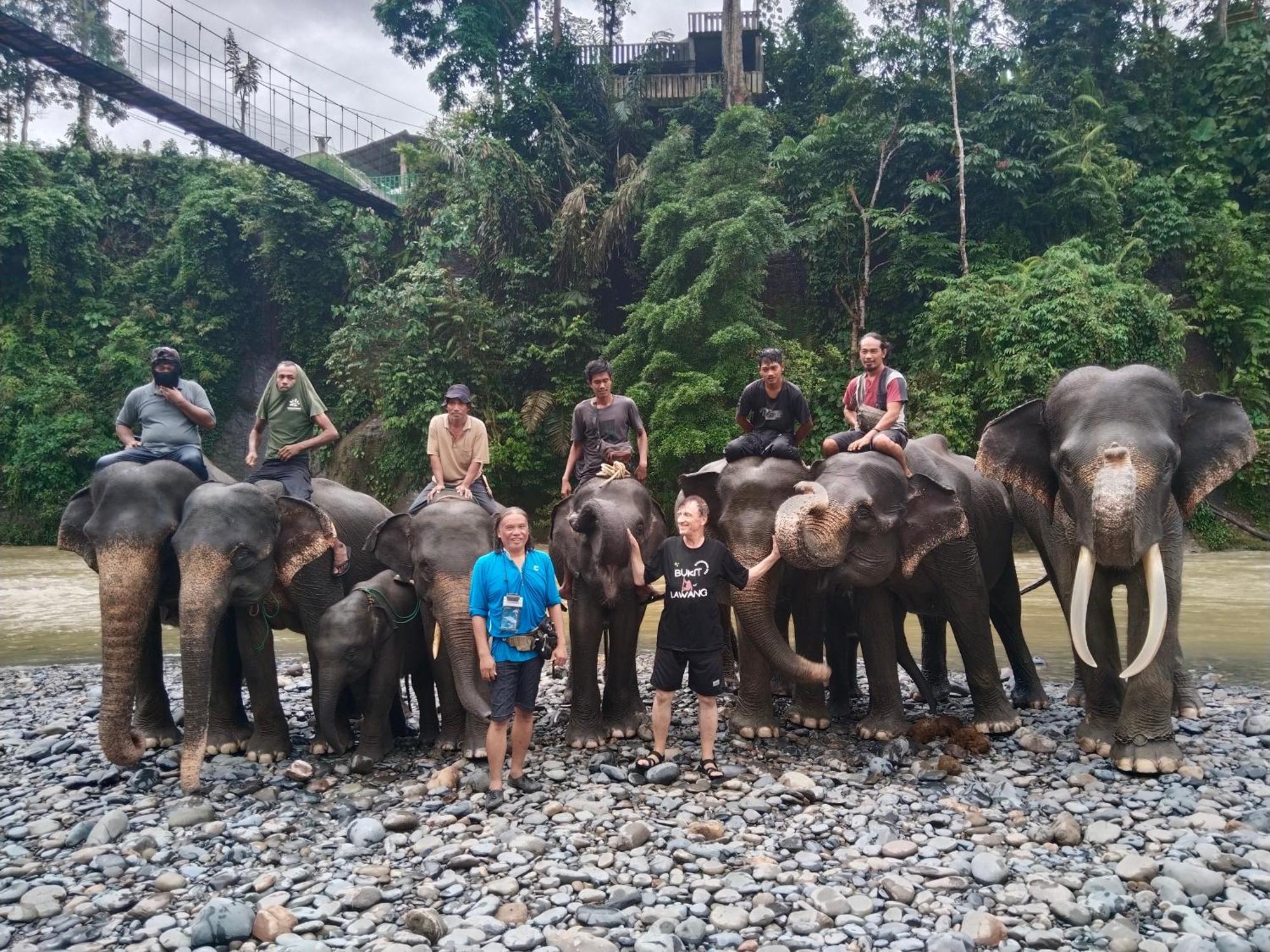 Jhony'S Backpacker-Guest House Only Stay Here Book Treking With Us Bukit Lawang Dış mekan fotoğraf