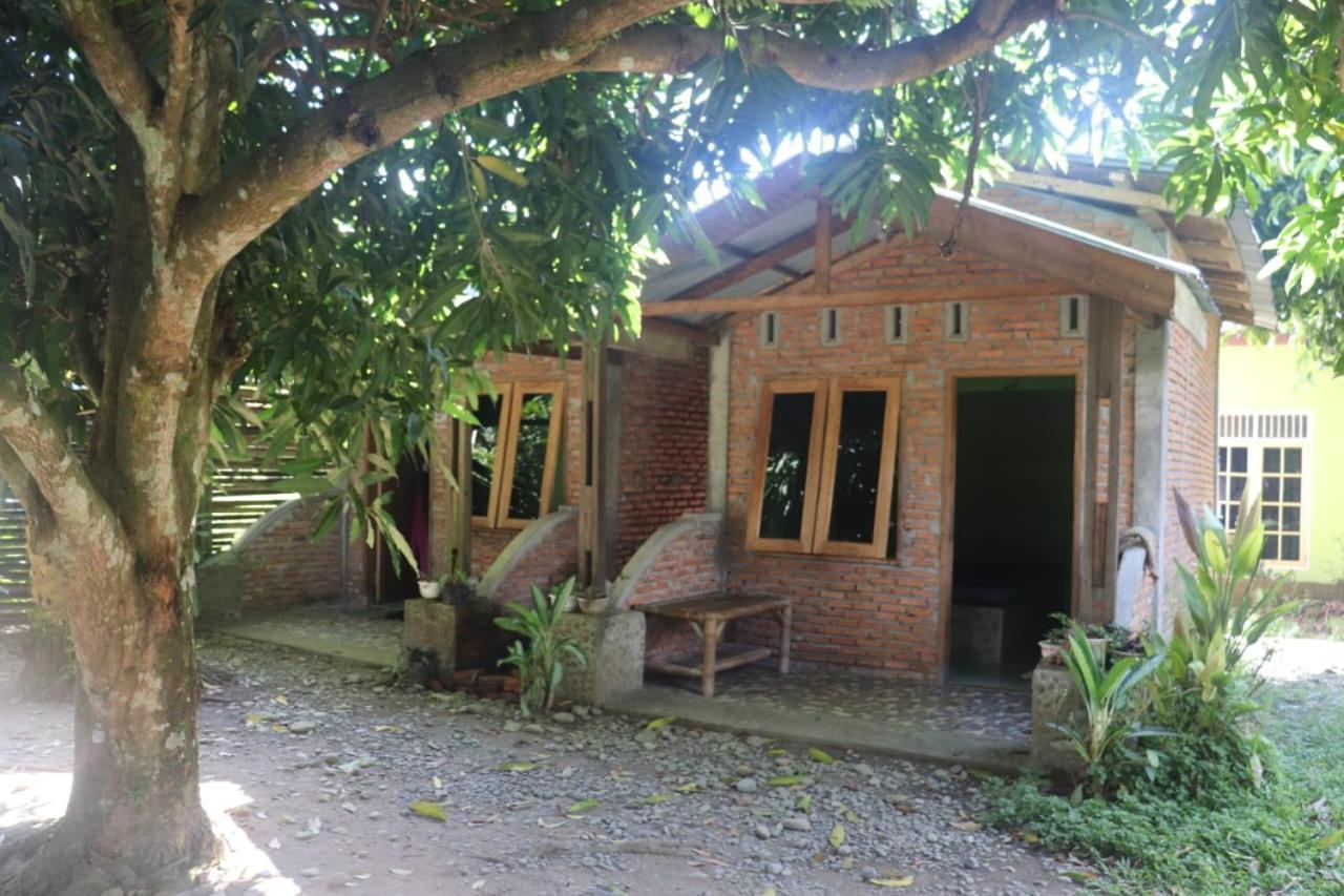 Jhony'S Backpacker-Guest House Only Stay Here Book Treking With Us Bukit Lawang Dış mekan fotoğraf
